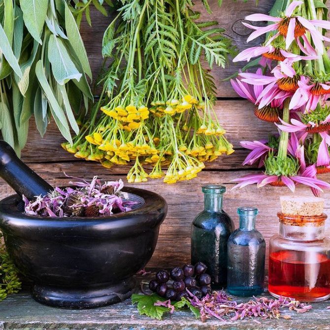 Healing Power of Herbs - natural products